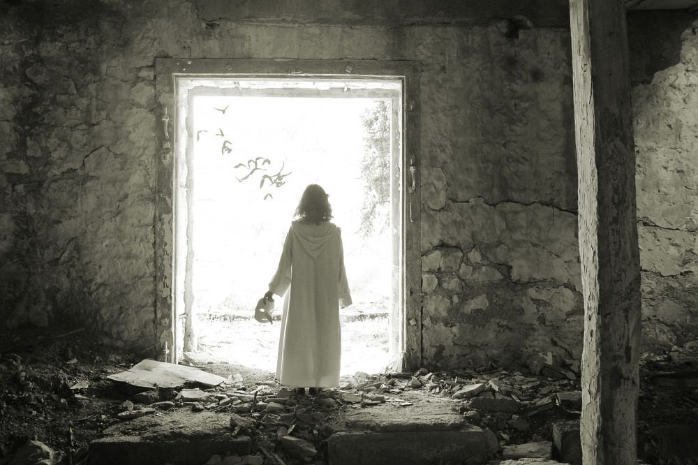 серия "Дом птиц" 5