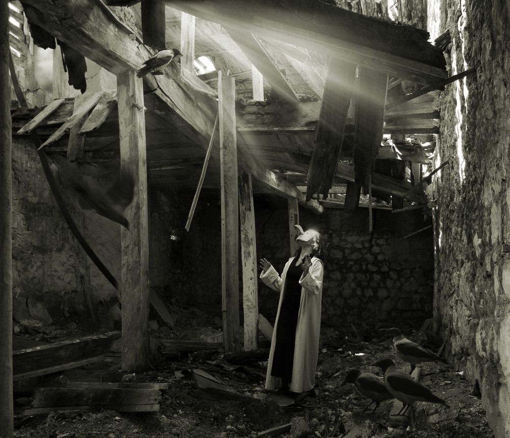 серия "Дом птиц" 3