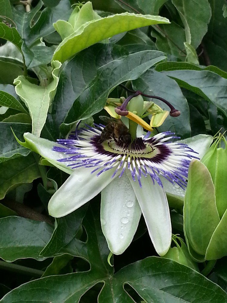 Утренний сбор.