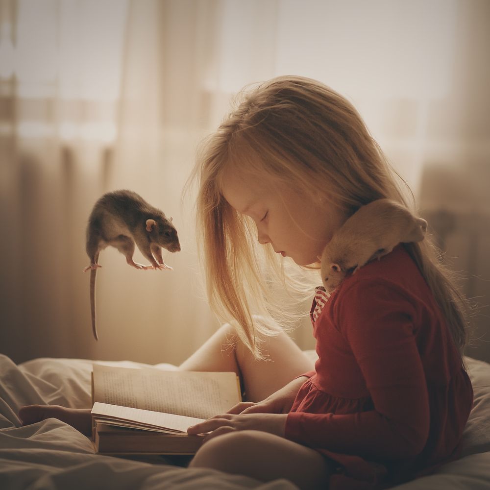 Мышиные истории.