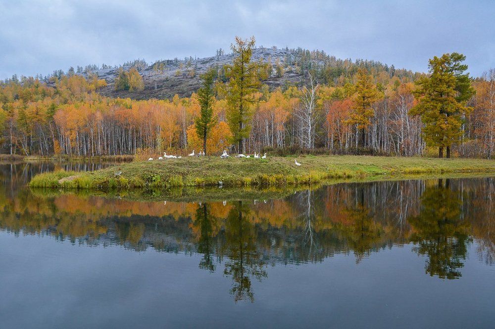 Золотая осень