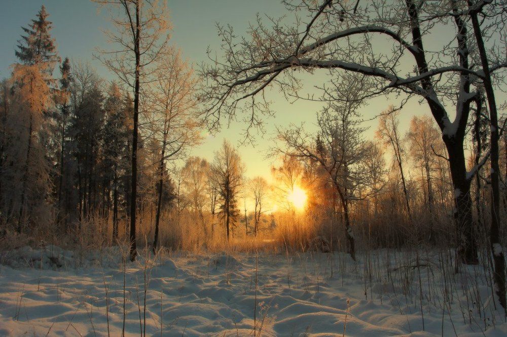 Январское утро