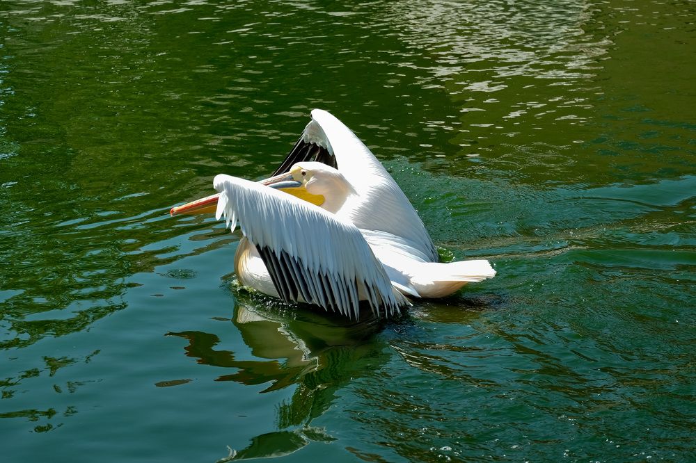 Photograph by Евгений Адаменко