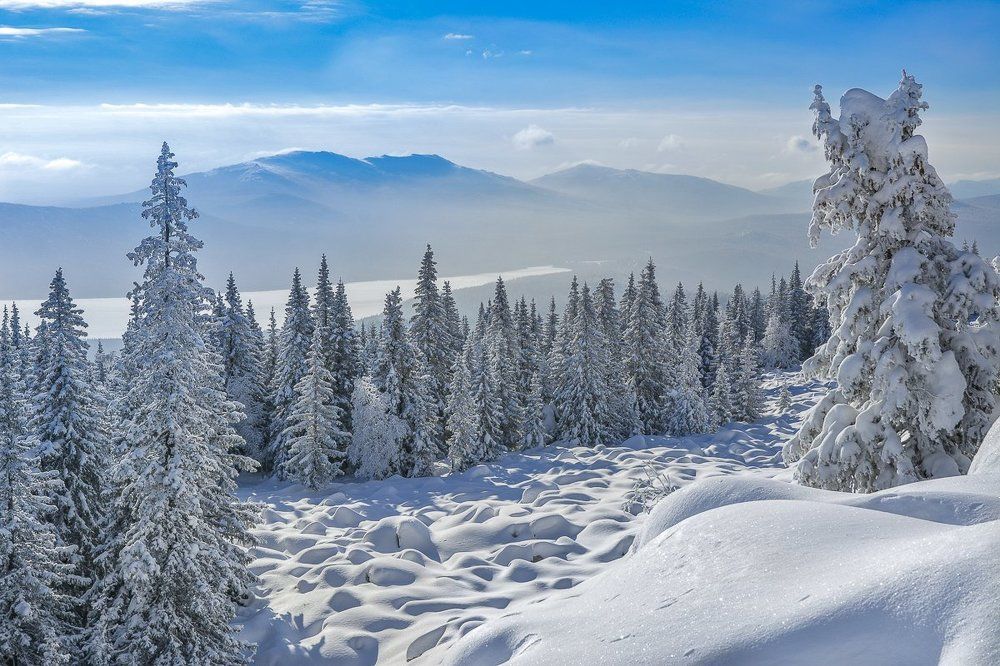 Зимняя сказка