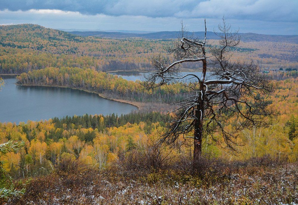 Одиночество