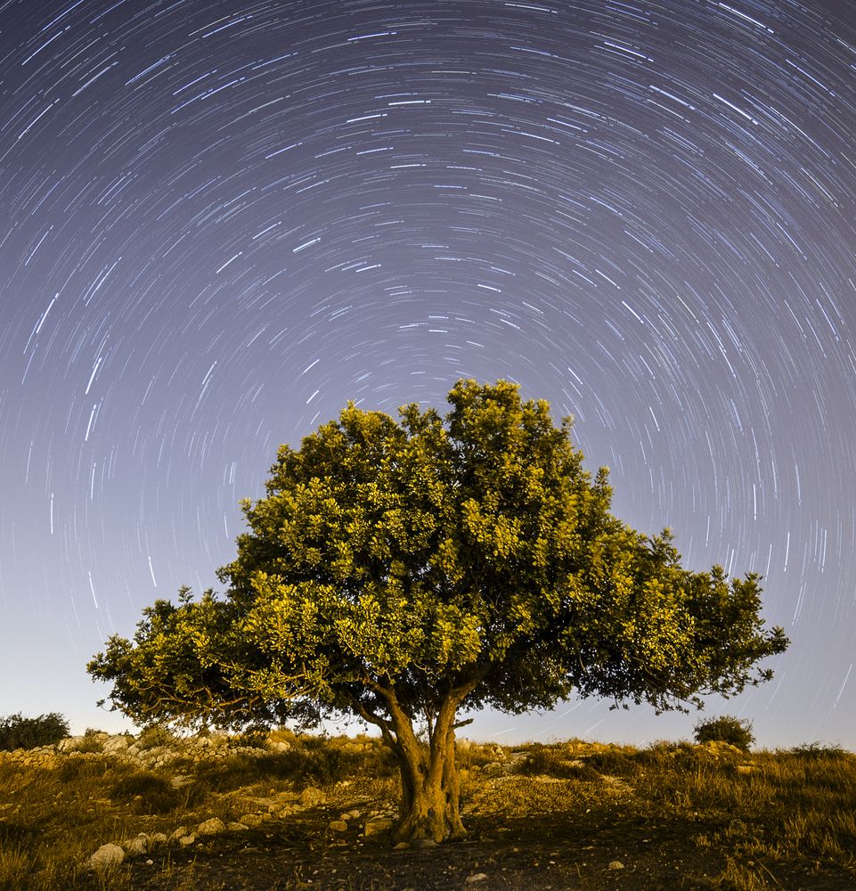 The voyage around the polar star