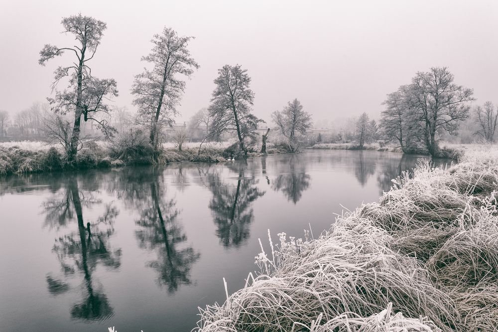 Frost on The River Gwda.