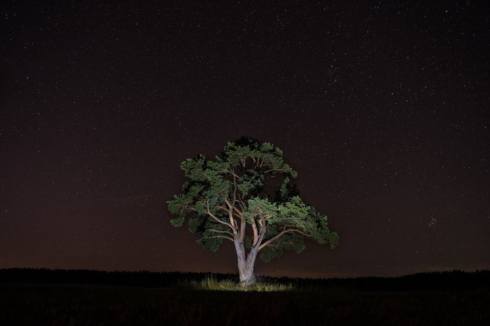 Один в поле