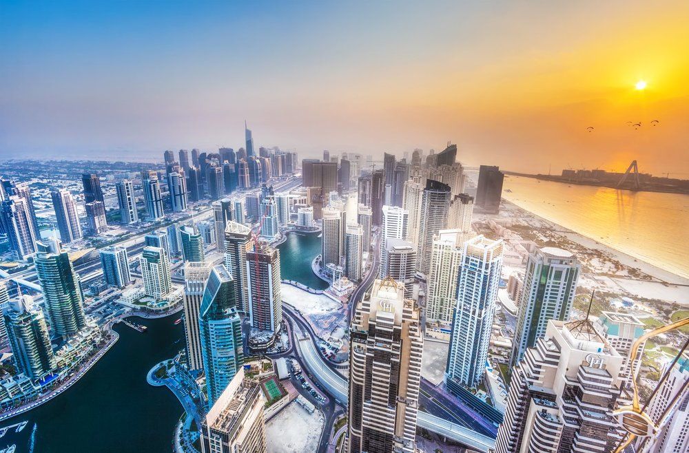 Городские джунгли