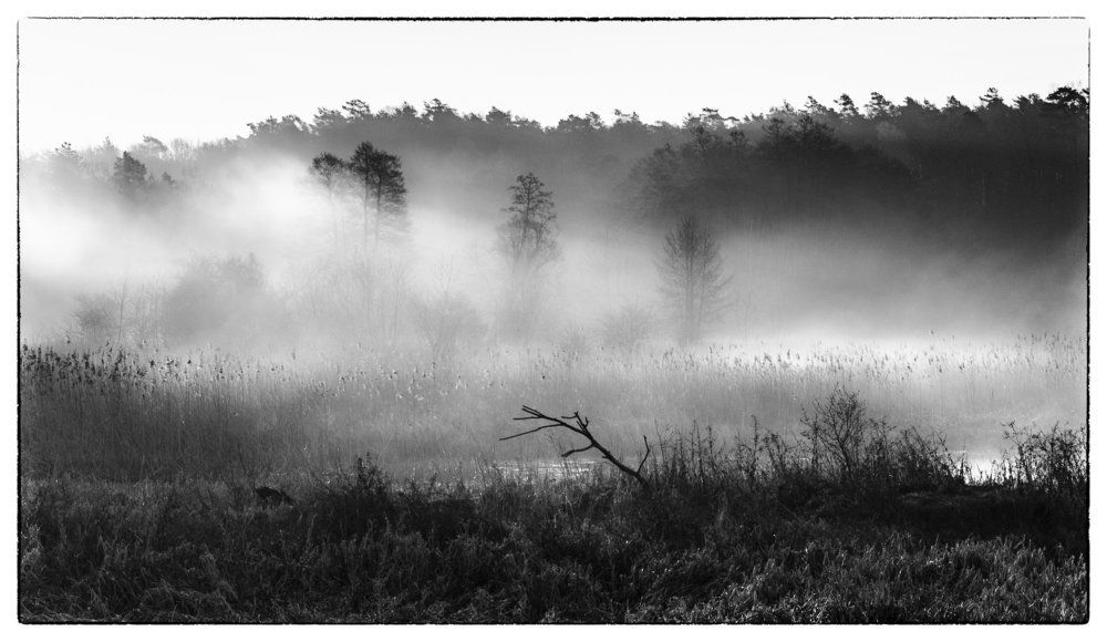 Streaks of sunlight in the fog