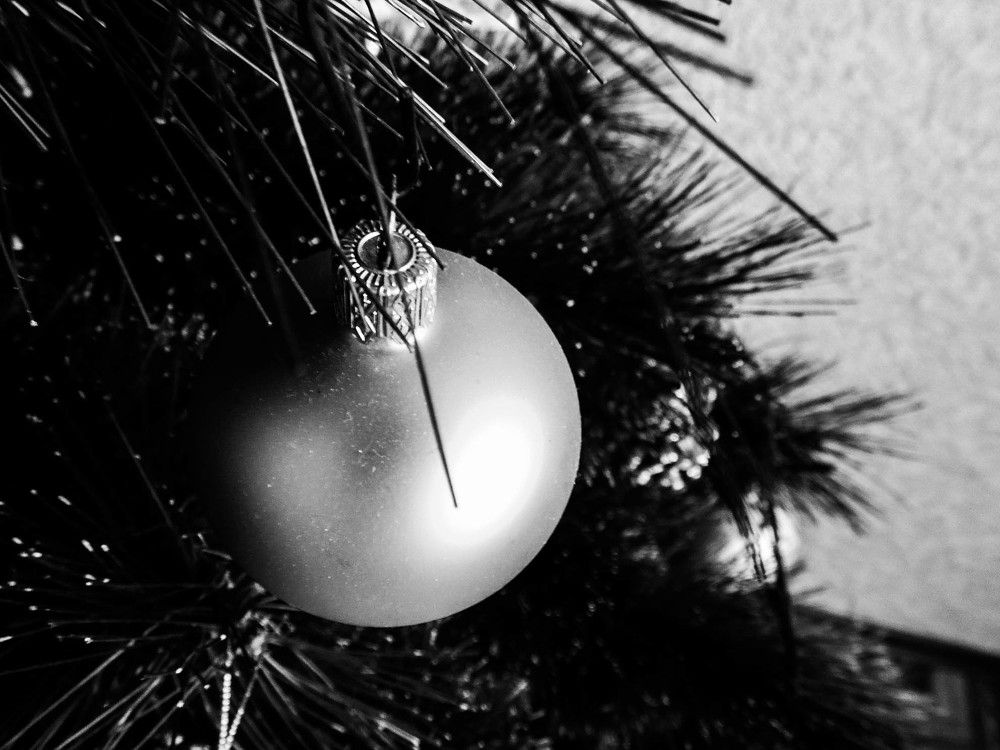 Photo #1583612