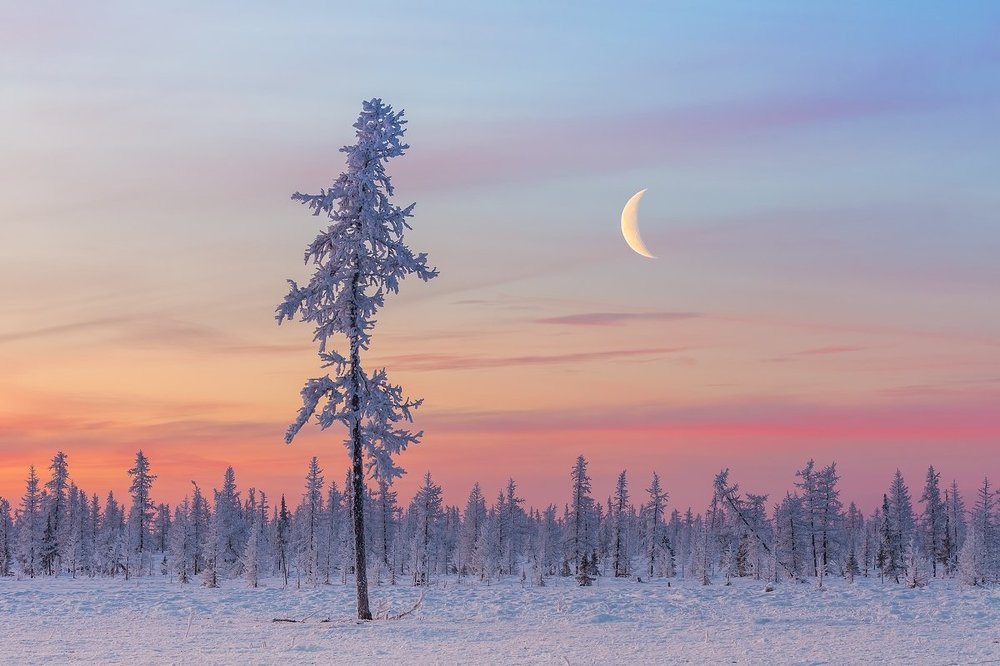 Холодный северный месяц