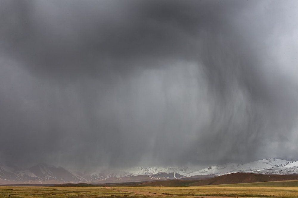 Буря столетия