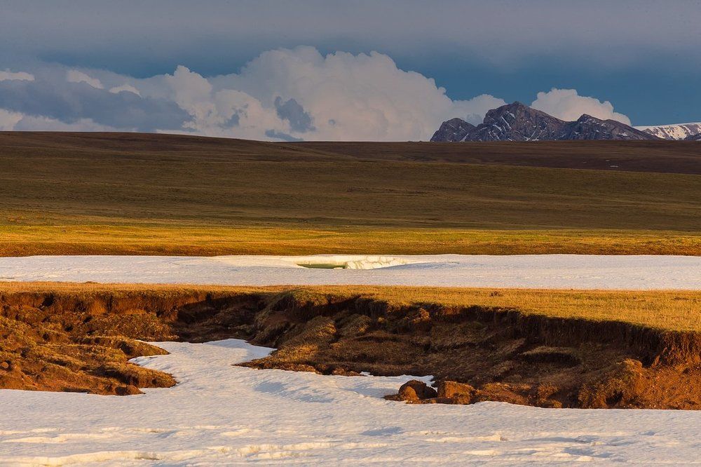Когда весна забирает снега