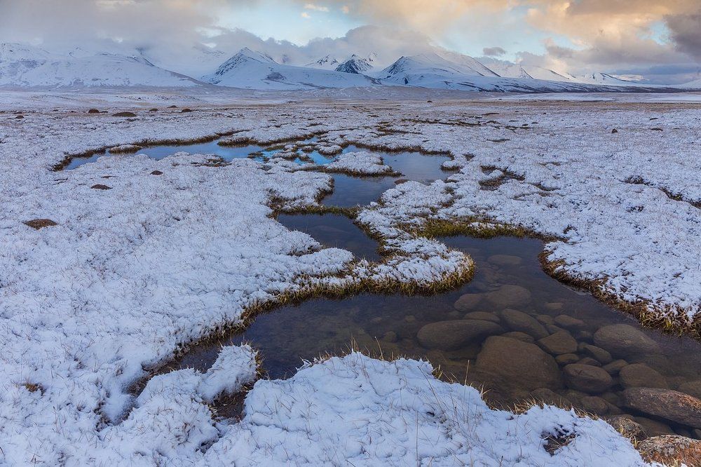 Скрывая камни