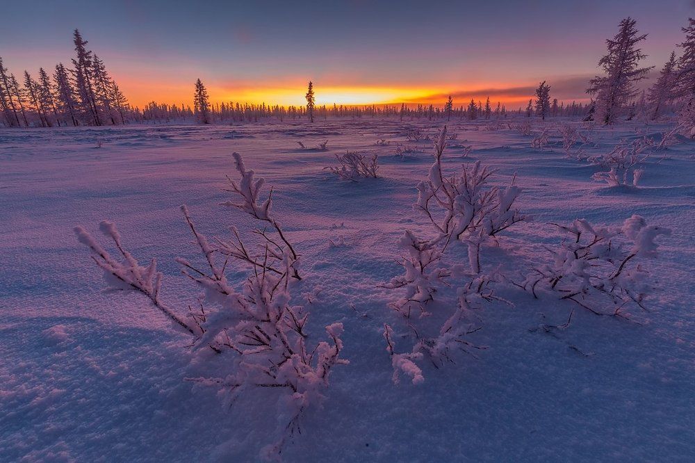 Между рассветом и закатом