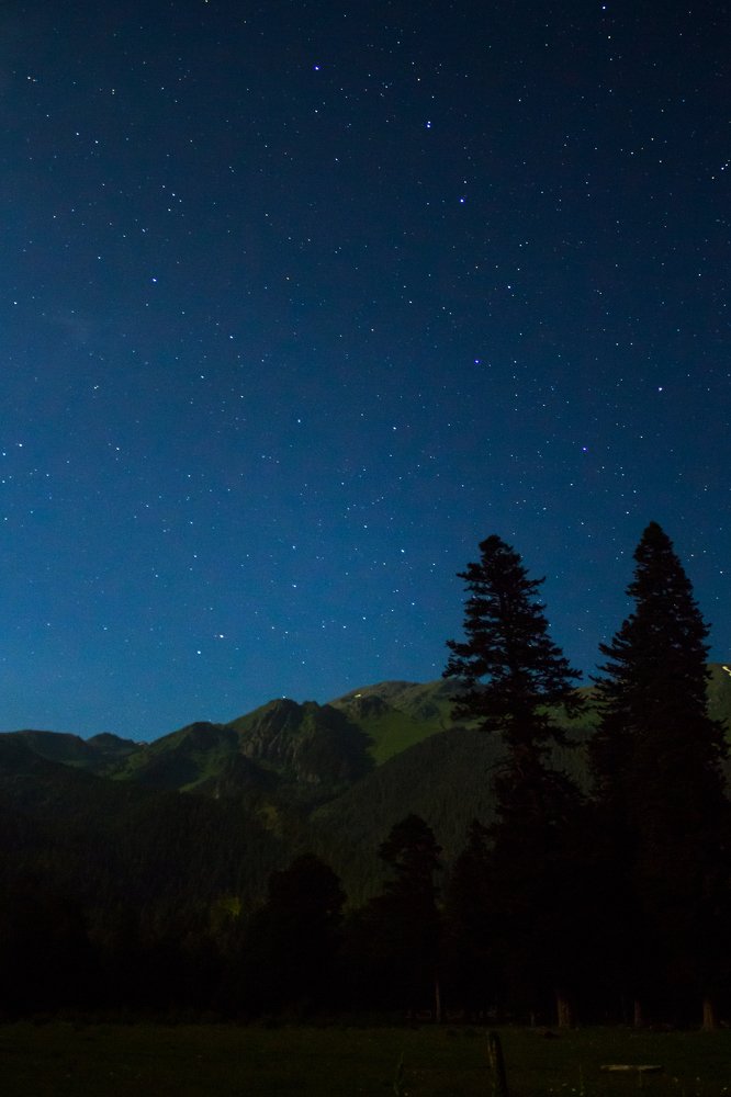 Большая медведица