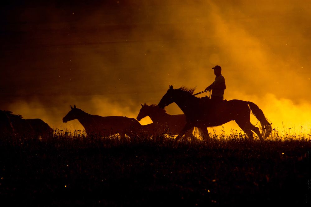 Photograph by Зарина Магкеева