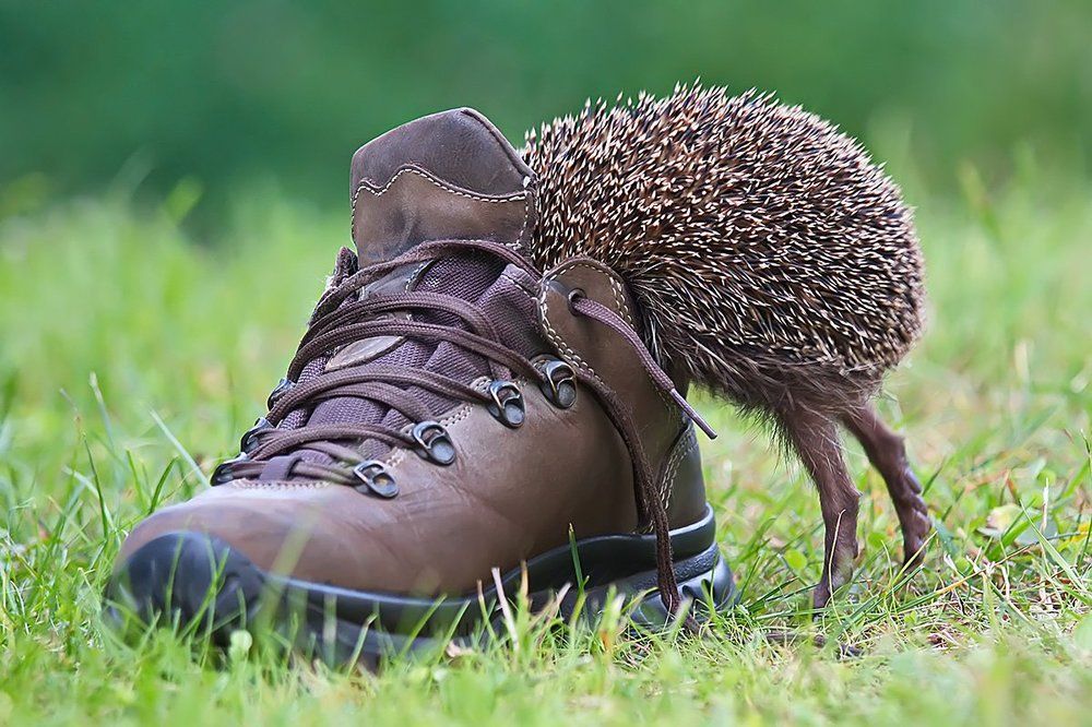 А вдруг мой размер?