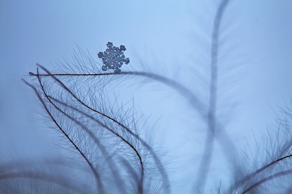 С неба звезда