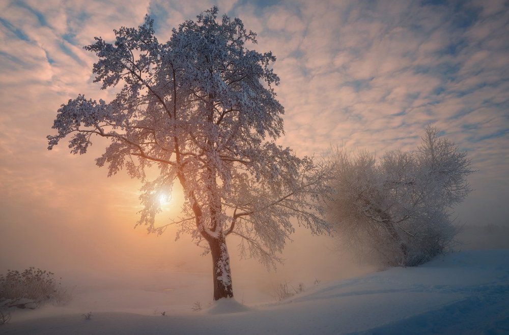 Морозное утро