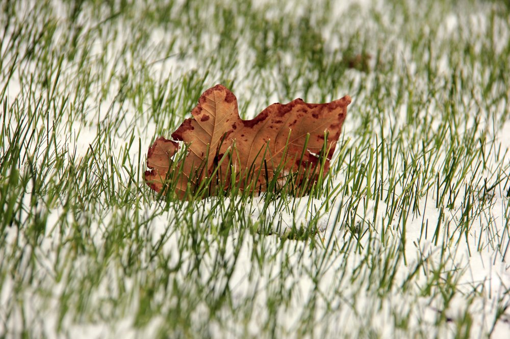 Photograph by Магеррам Меджидов