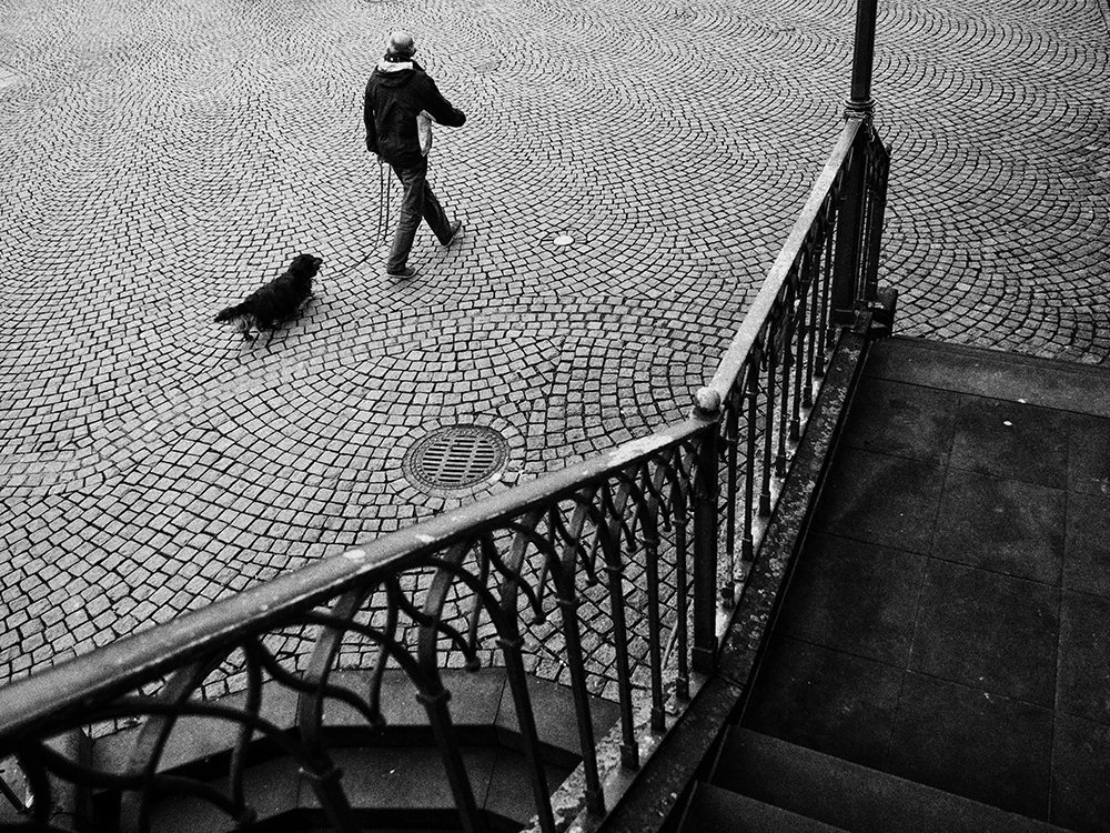 Идущий мужчина с собакой /Walking man with a dog