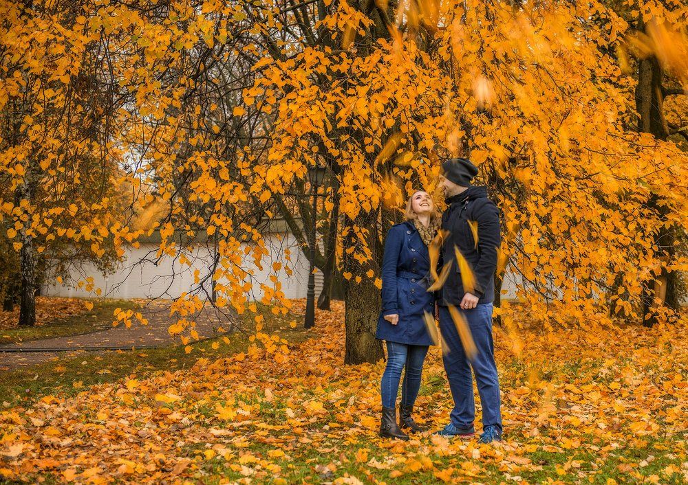 Серпантин из листьев жёлтых янтарем на землю падал...