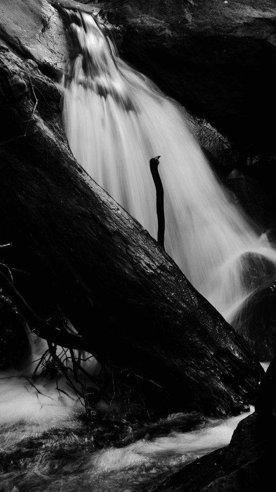 solitude with nature