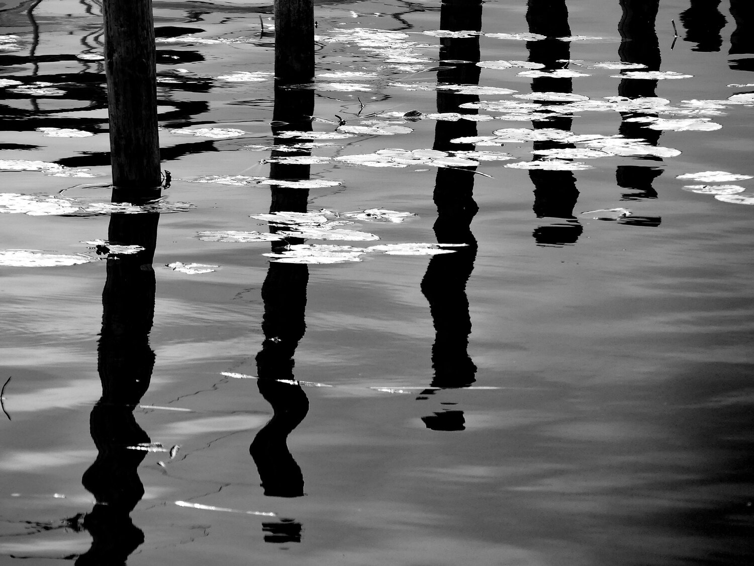 Reflections on my mind