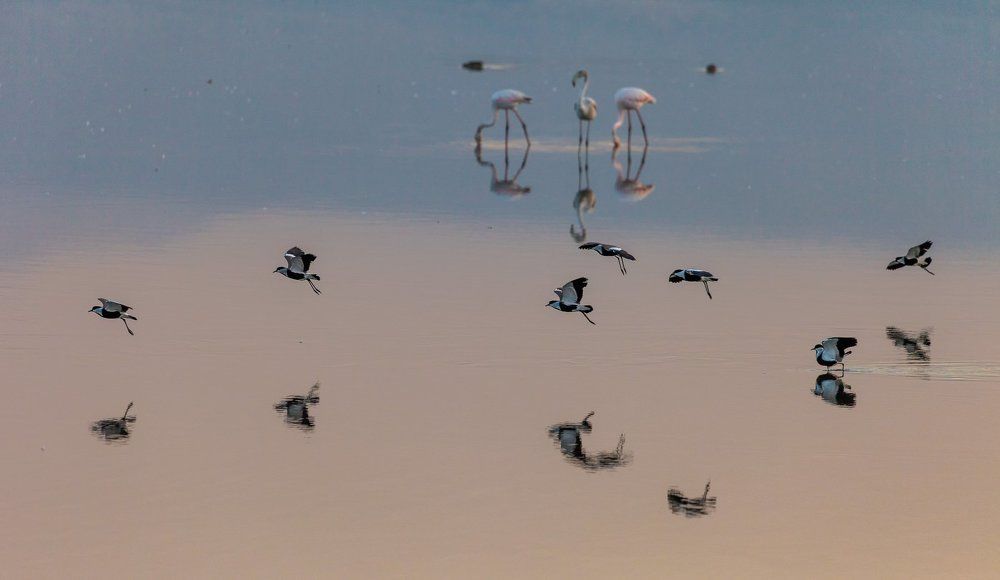 Параллельные миры