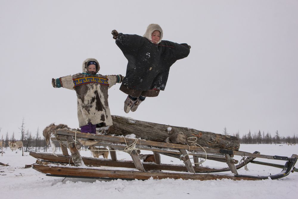Полет куропатки