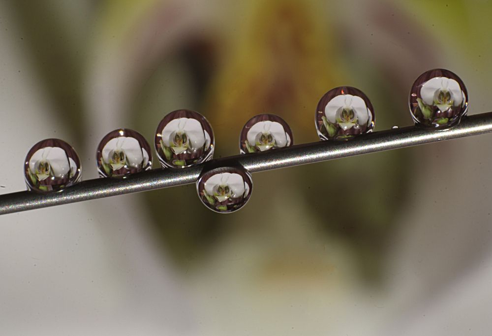 Photograph by Викулов Николай