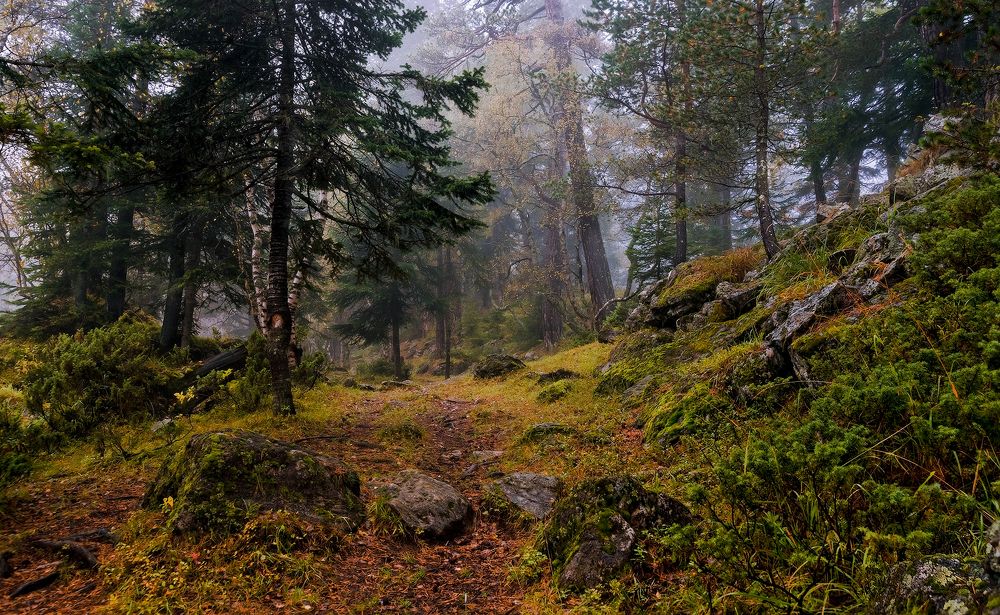 Туманная осень Архыза