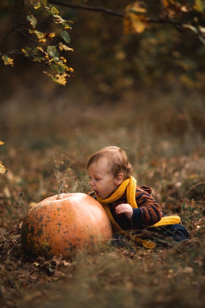 Большому куску и рот радуется)