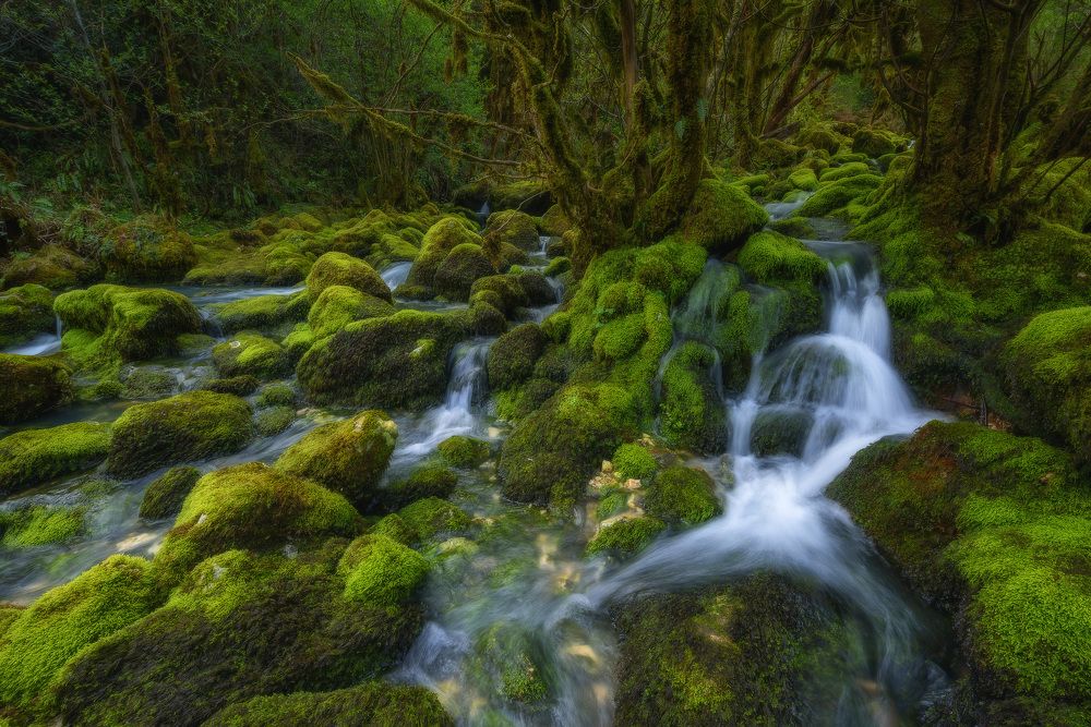 Первые весенние ручьи