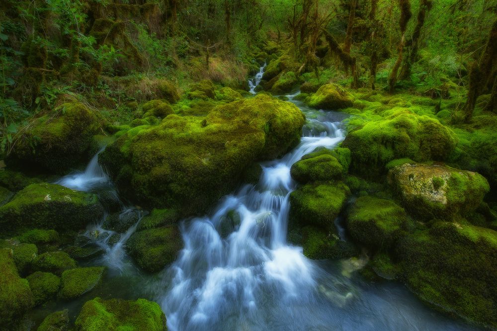 Первые весенние ручьи