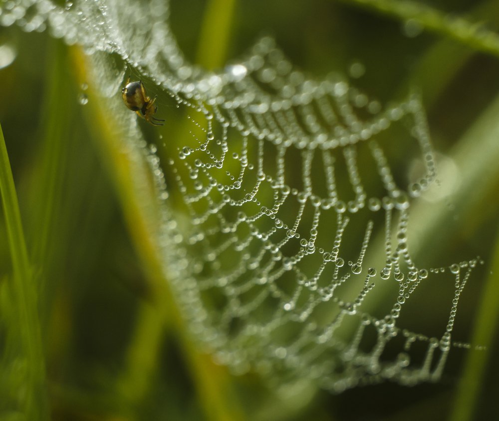 Photograph by Valentina Vershinina