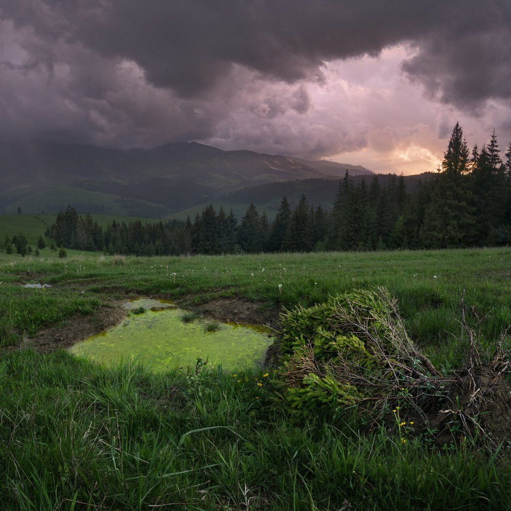 Карпатская непогода