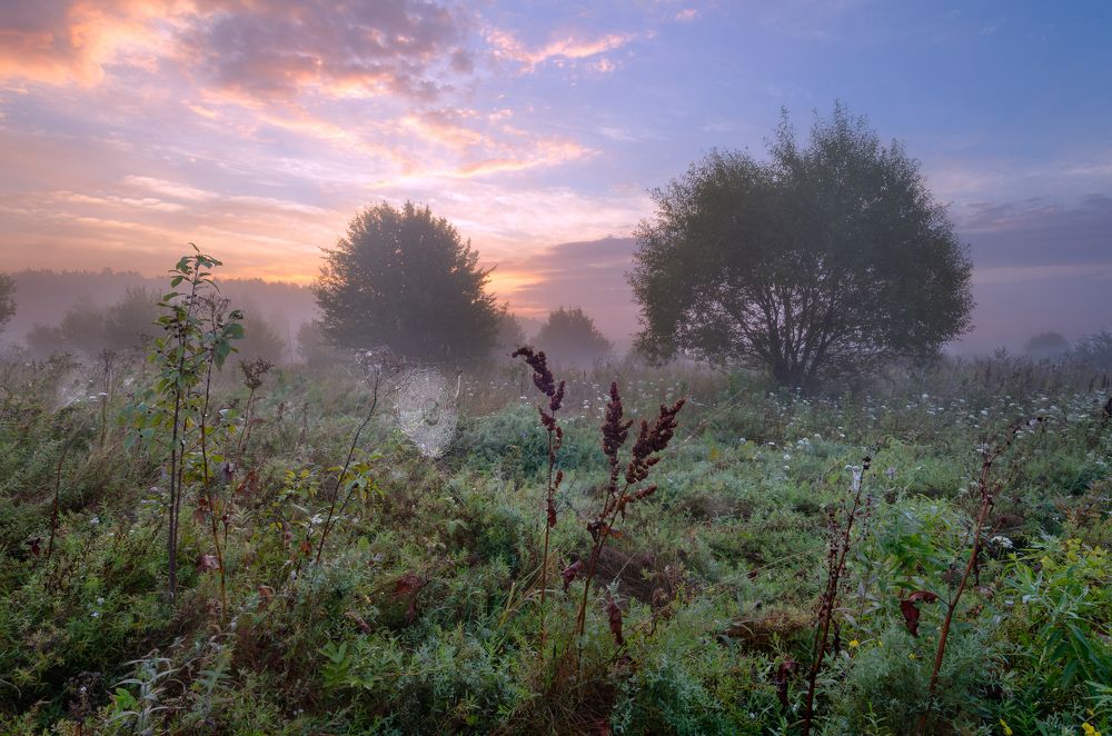Предрассветное Полесье