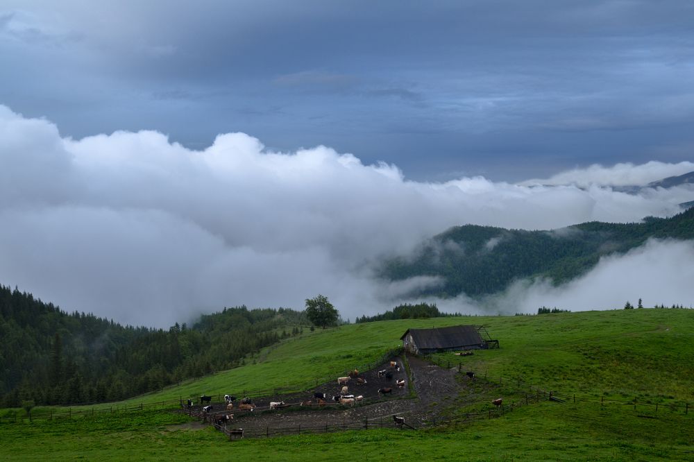 Облачная полонина