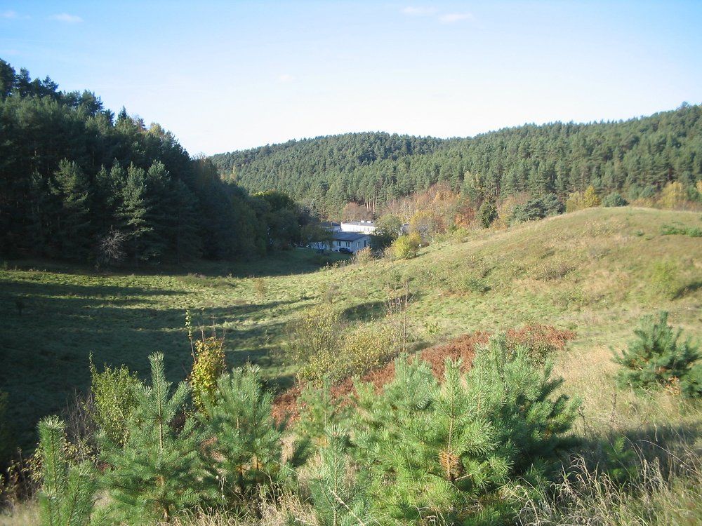 Холмы в Сапегине