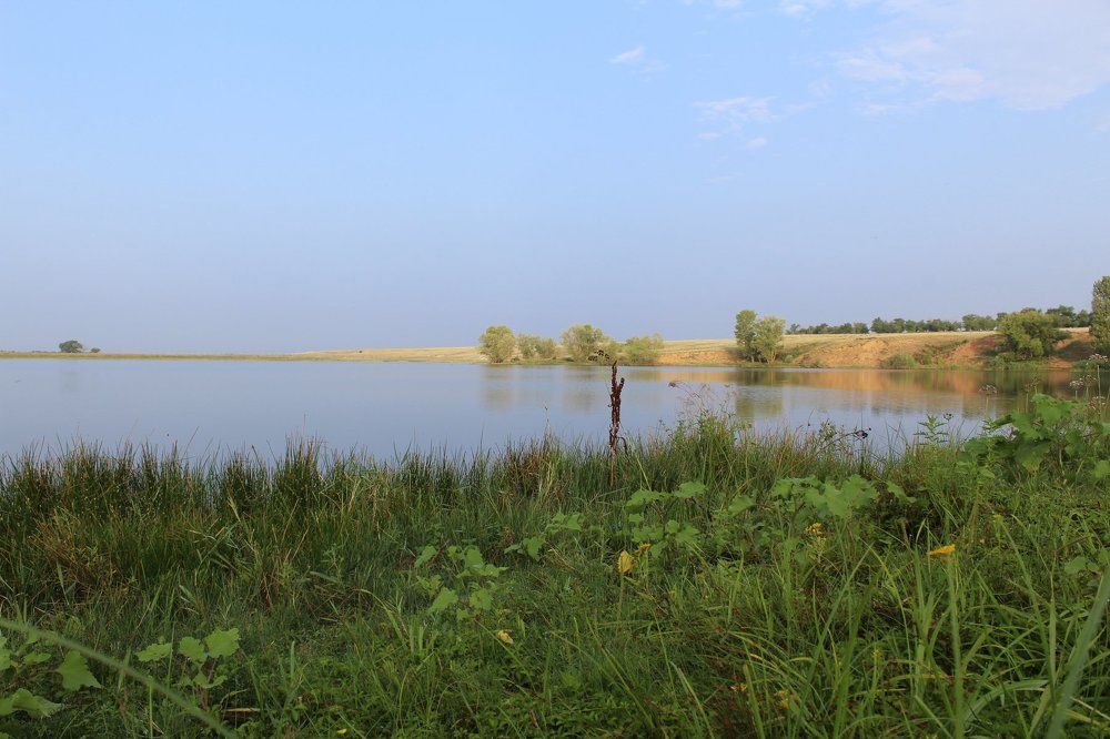 утро на пруду