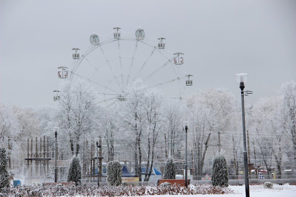 Морозным днем