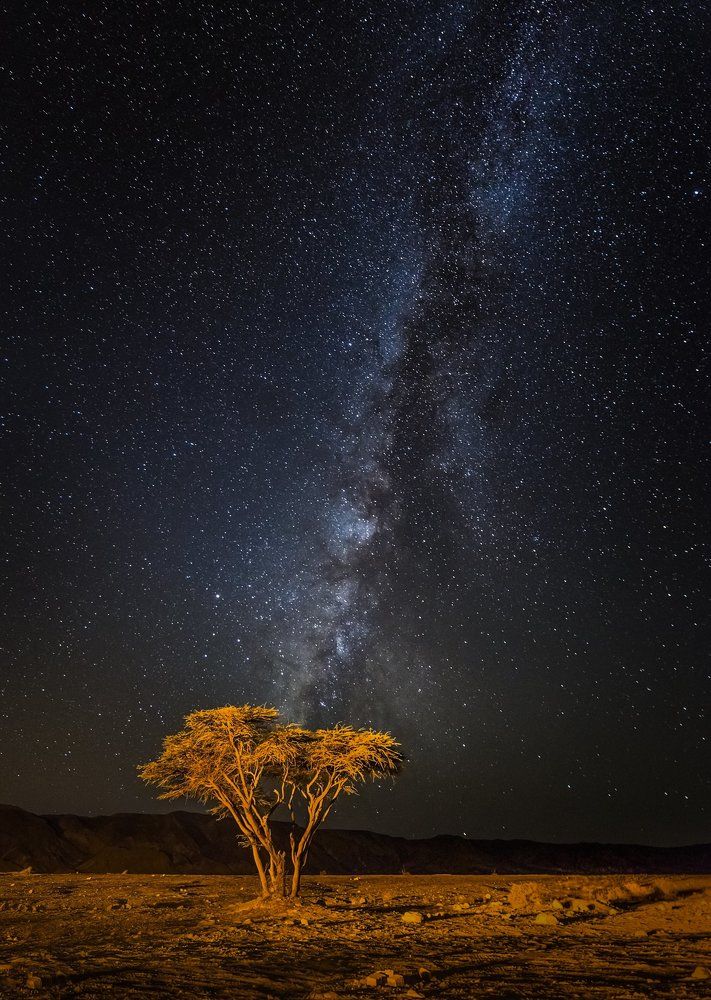 Amazing sky above us