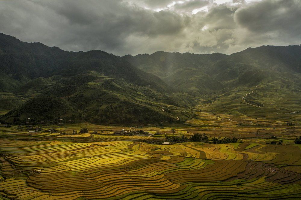 Фотография автора Dang Thanh Son