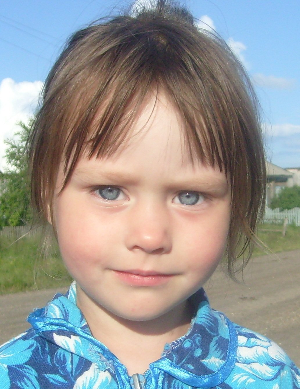 Голубоглазка
