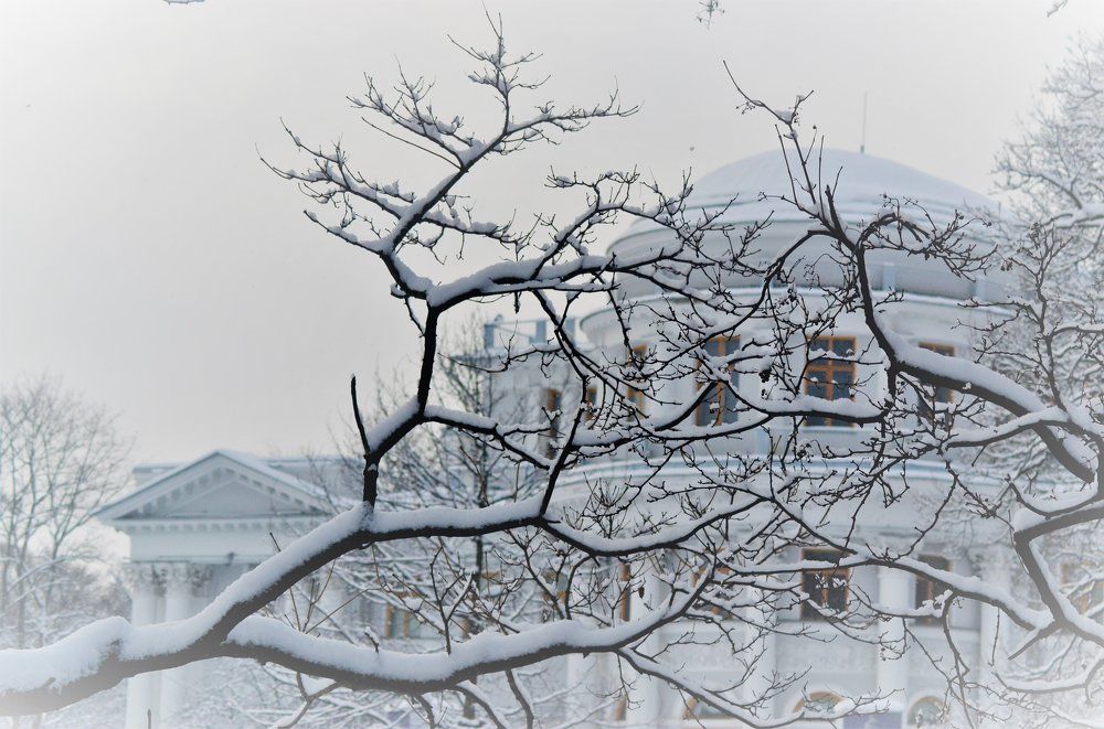 Зимняя сказка.