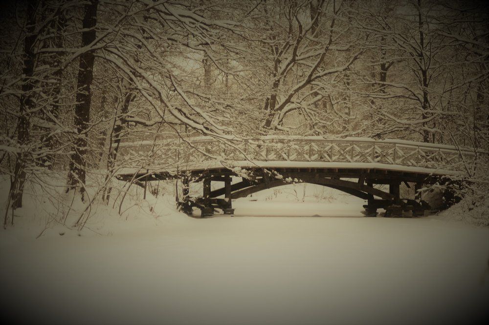 Photograph by Надежда Буаллаг