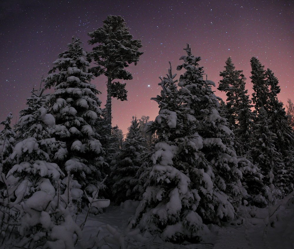Рождественская ночь